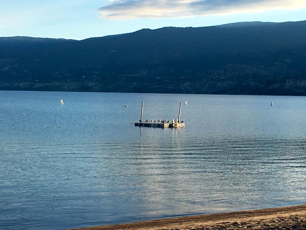Black Sea Motel Penticton Exteriér fotografie